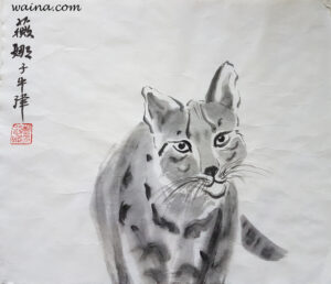 Hamish (Scottish wild cat), original Chinese Calligraphic painting on rice paper, 27x31.5cm