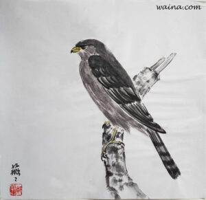 Sparrowhawk, original Chinese Calligraphic painting on rice paper, 38.3x40cm