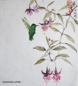 Hummingbird & Fuchsias, original Chinese Calligraphic painting on rice paper, 42.5x38cm, La Jolla, California, early 1980s