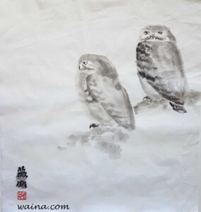 Snowy Owls (Sketches with Eric Ennion), original Chinese Calligraphic painting on rice paper, 47x49cm, late 1970s