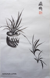 Spider Plant, original Chinese Calligraphic painting on rice paper, 61.5x38.2cm, Cambridge, UK, 1976