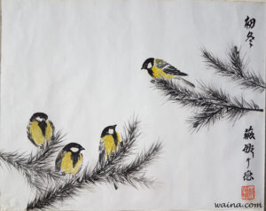 Great Tits (4 Great Tits on pine trees), original Chinese Calligraphic painting on rice paper, 35x45cm