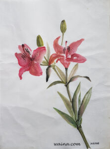 Red lillies, original Chinese Calligraphic painting on rice paper, 38x29cm