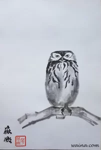 Little Owl (Little Owl on a Perch), original Chinese Calligraphic painting on rice paper, 43.8x28.8cm, Cambridge, UK, 1969