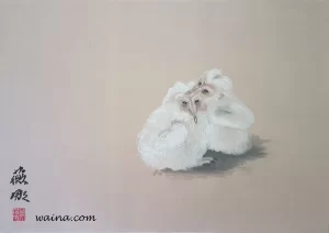 Cuddly (Two Barn Owl Chicks Huddled Together), original Chinese Calligraphic painting on rice paper, 33x46.5cm