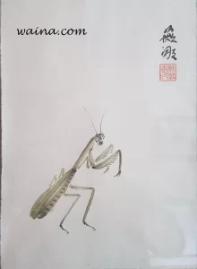 Mantis, original Chinese Calligraphic painting on rice paper, 28x20cm