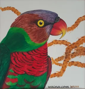 King Parrot (Female), original Oil on laminate, framed, 61.5x58cm, Solomon Islands